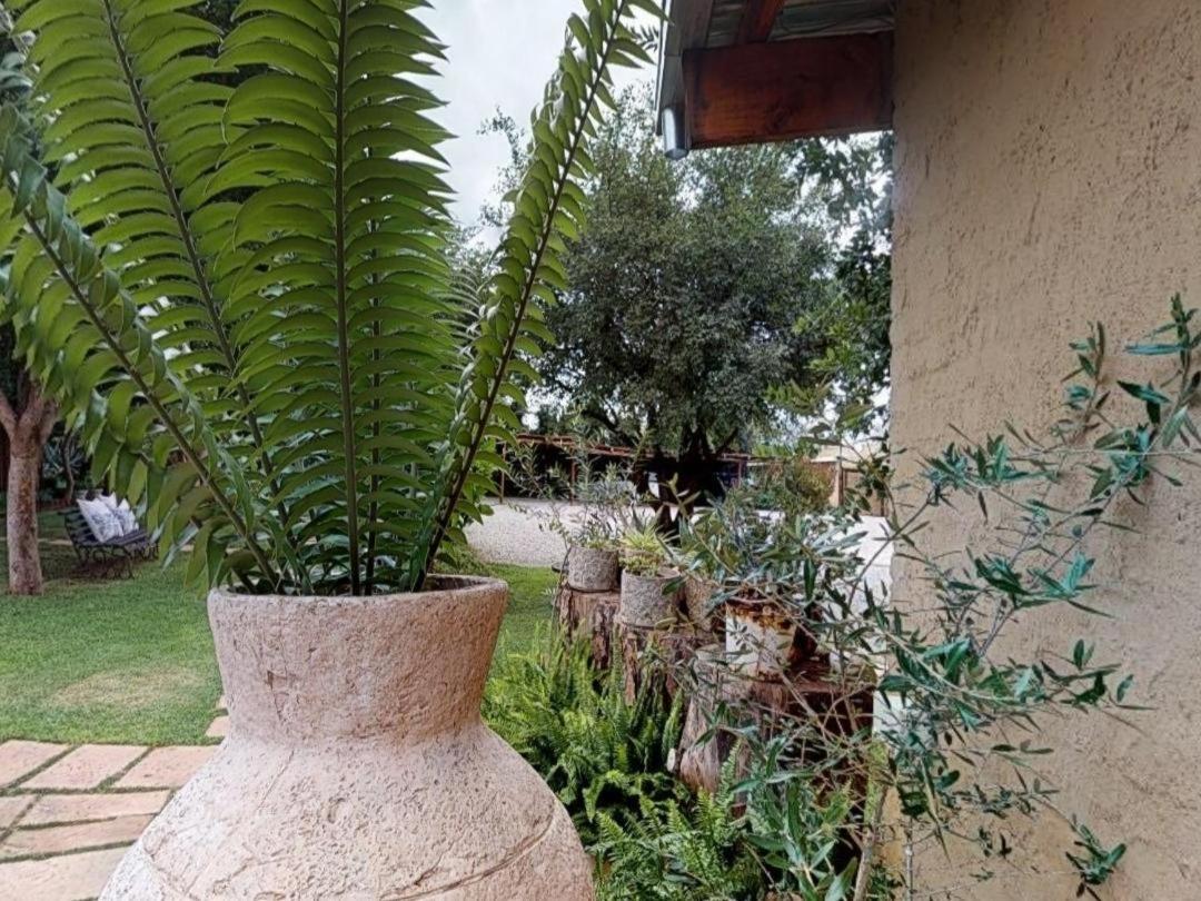 ملدرزدريفت Cradle Valley Boutique Guesthouse المظهر الخارجي الصورة