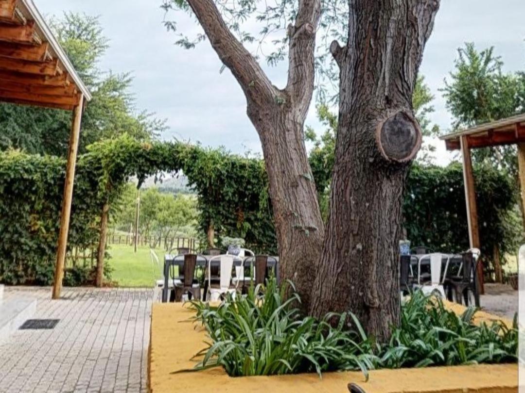 ملدرزدريفت Cradle Valley Boutique Guesthouse المظهر الخارجي الصورة