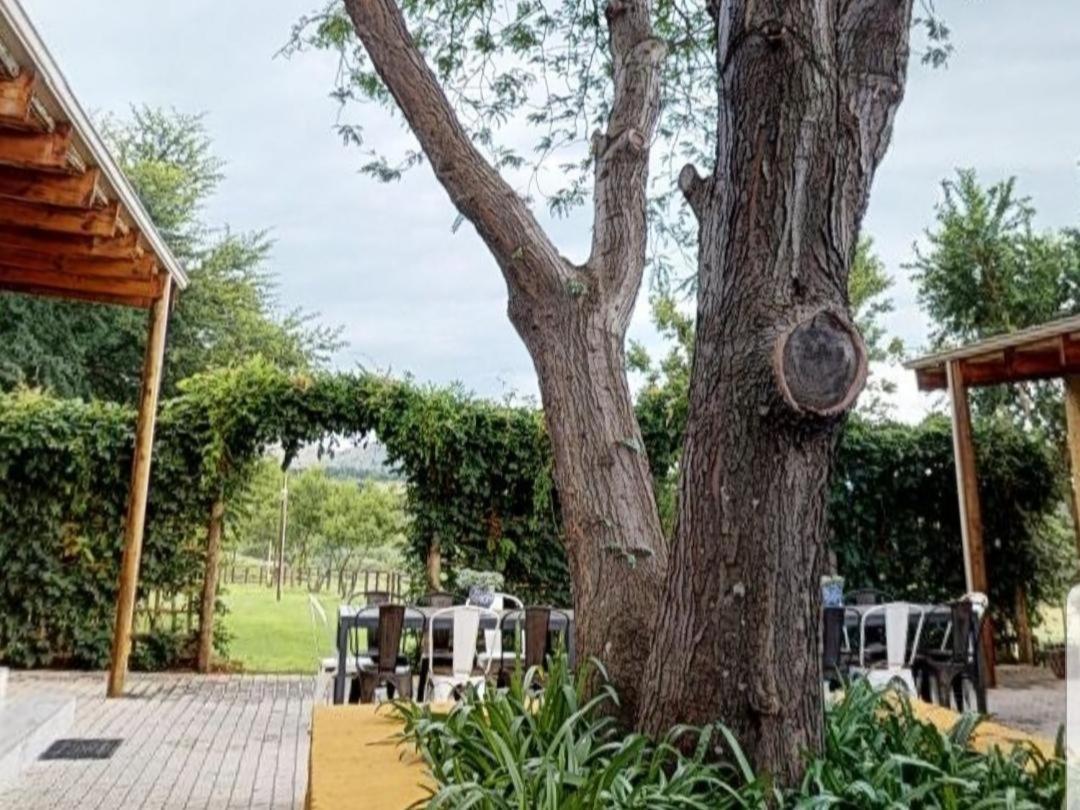 ملدرزدريفت Cradle Valley Boutique Guesthouse المظهر الخارجي الصورة