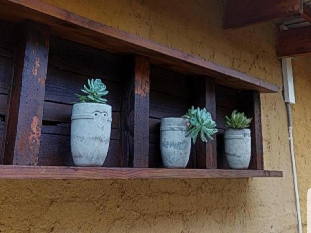 ملدرزدريفت Cradle Valley Boutique Guesthouse المظهر الخارجي الصورة