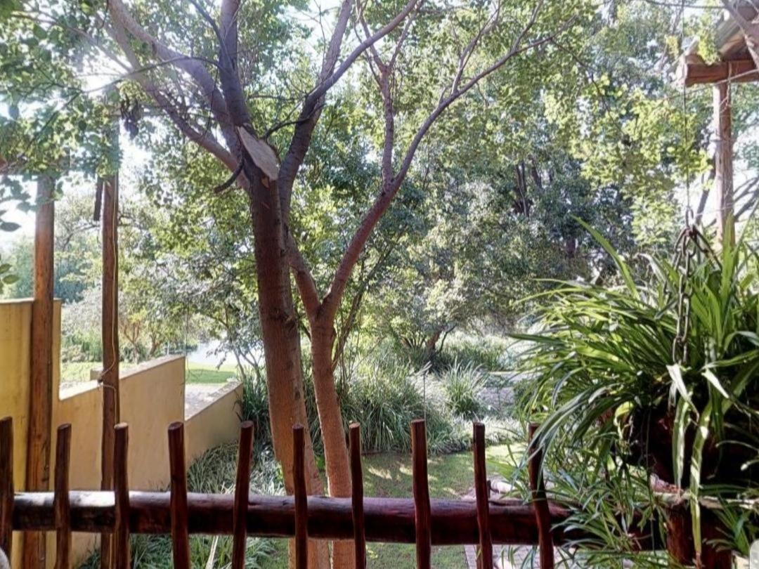 ملدرزدريفت Cradle Valley Boutique Guesthouse المظهر الخارجي الصورة